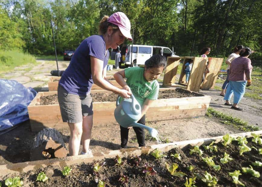 Refugees excited about growing own produce in SHIM garden in Whitehall